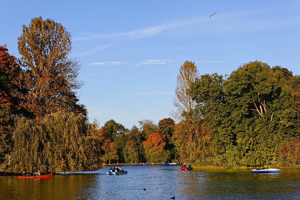 Lake Kleinhesseloher See in autumn, Englischer Garten, English garden, Schwabing, Munich, Upper Bavaria, Bavaria, Germany, Europe