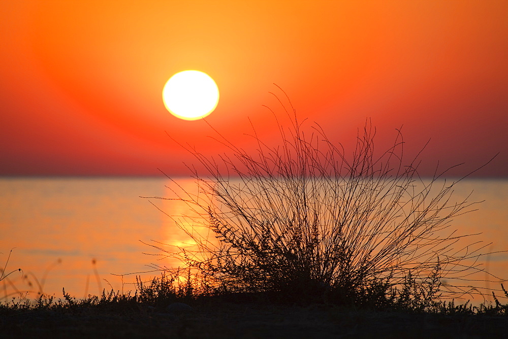 Sunrise on the beach, Cirali, lycian coast, Mediterranean Sea, Turkey, Asia
