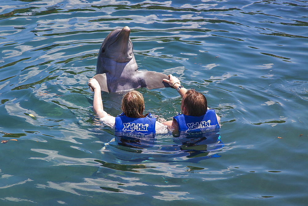 Two people swimming with a dolphin at Xel-Ha Water Park, Tulum, Riviera Maya, Quintana Roo, Mexico