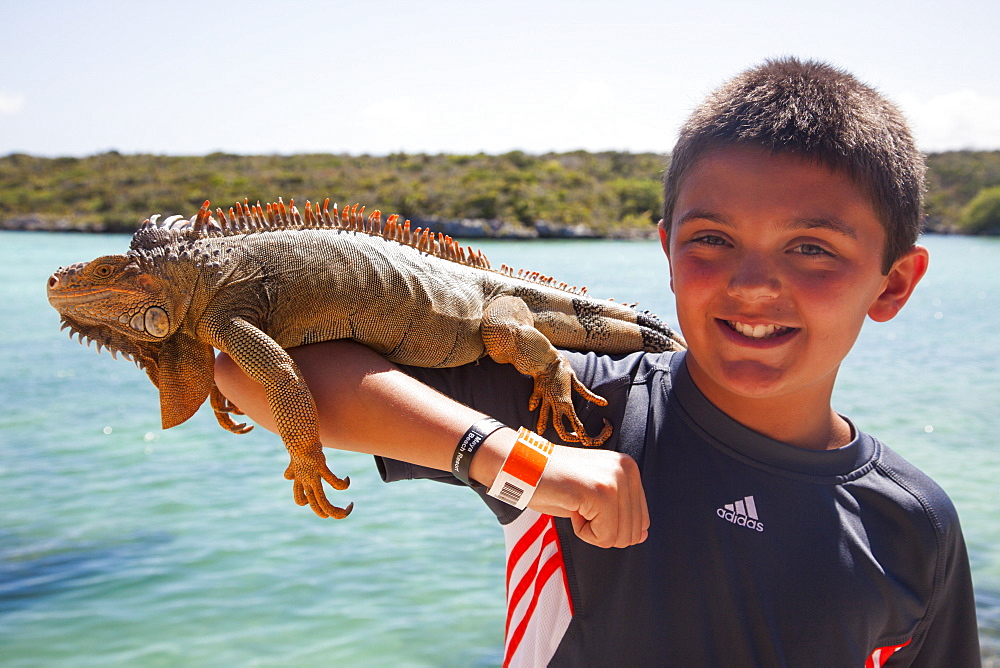 Boy with iguana, Ctenosaura similis, on arm at Xel-Ha Water Park, Tulum, Riviera Maya, Quintana Roo, Mexico