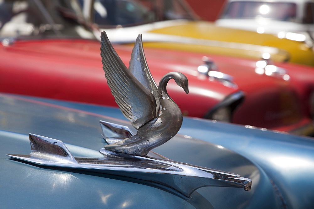 Hood ornament of a vintage American car, Oldtimer, Santiago de Cuba, Santiago de Cuba, Cuba, Caribbean