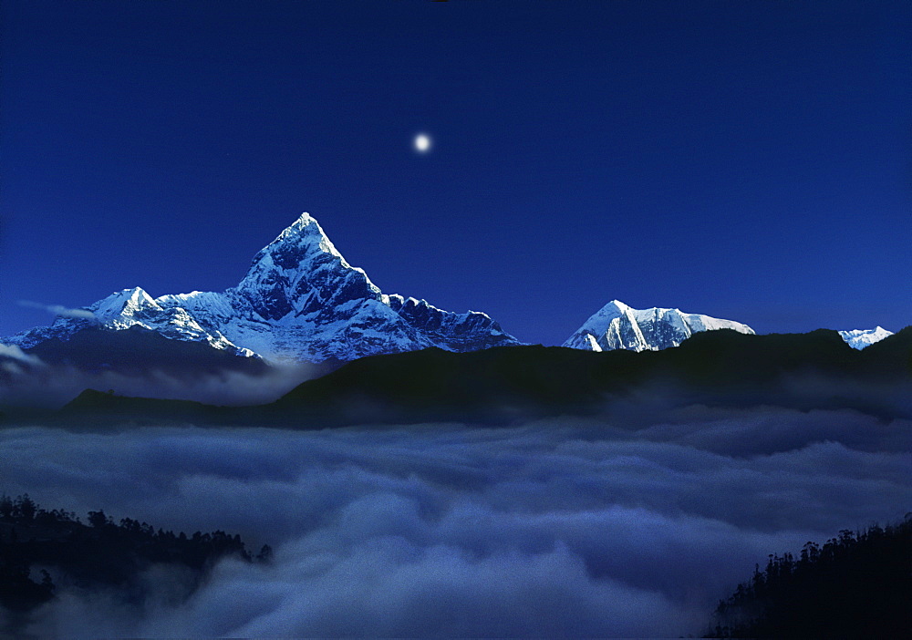 Sunrise with moon over the holy Machapuchare, Pokhara, Gandaki, Nepal, Asia