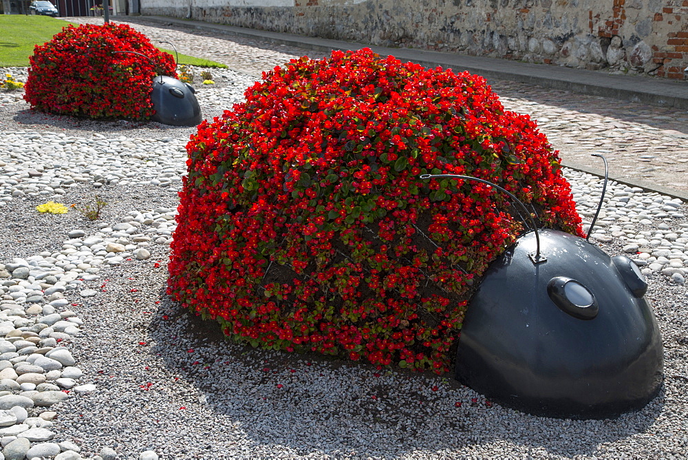 Ladybug flower planters, Ventspils, Latvia, Baltic States, Europe