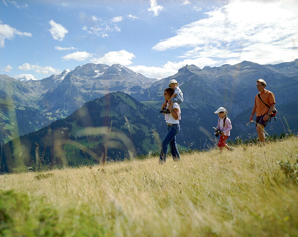 Family hiking over mountain pasture, Simmental valley, Bernese Alps, Canton Bern, Switzerland