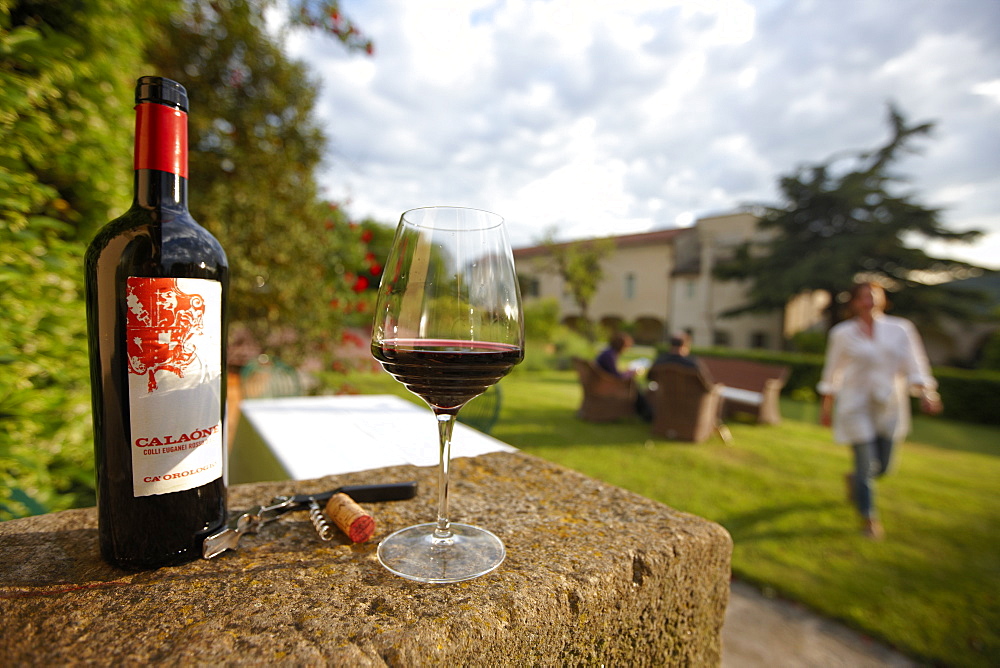 Wine bottle from own vintage in the garden of Agriturismo and vineyard Ca' Orologio, Venetia, Italy