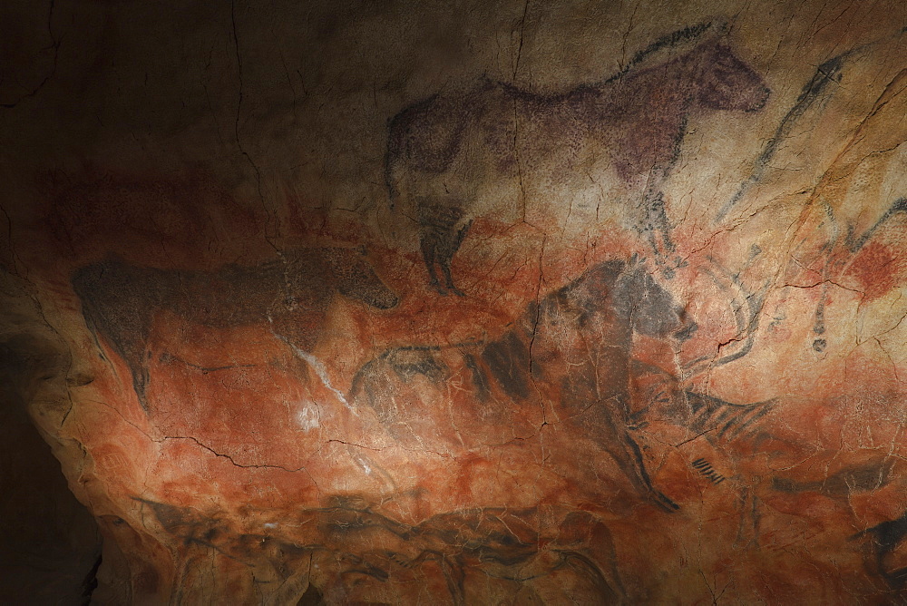 Horses, prehistoric painting, cave painting, about 15000 BC, Cueva de Tito Bustillo, cave near Ribadesella, replica, Parque de la Prehistoria de Teverga, Teverga, Park of Prehistory in Teverga, province of Asturias, Principality of Asturias, Northern Spain, Spain, Europe