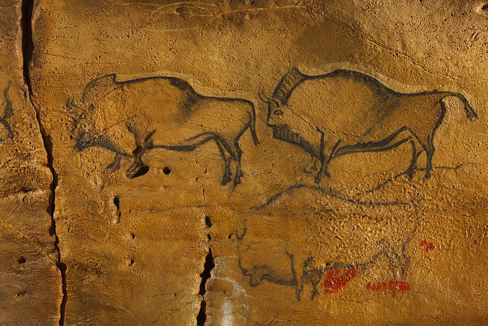 Bisons, prehistoric painting, cave painting, about 15000 BC, Covaciella, Asturias, replica, Parque de la Prehistoria de Teverga, Teverga, Park of Prehistory in Teverga, province of Asturias, Principality of Asturias, Northern Spain, Spain, Europe