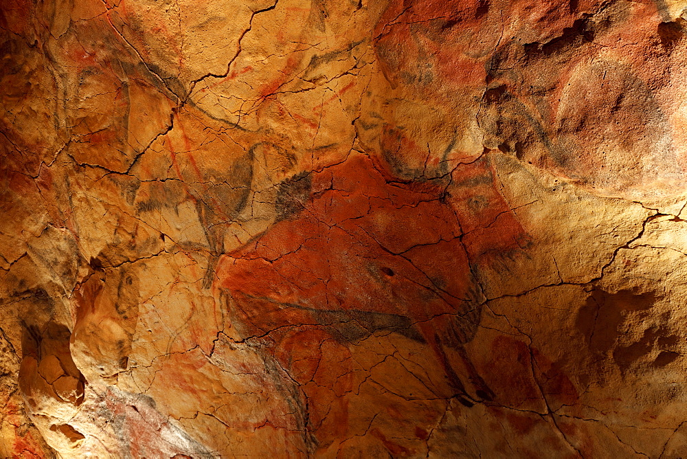 Bison, prehistoric painting, cave painting, about 25000 BC, Cueva de Altamira, Hoehle bei San Santillana del Mar, Kantabrien replica, Parque de la Prehistoria de Teverga, Teverga, Park of Prehistory in Teverga, province of Asturias, Principality of Asturias, Northern Spain, Spain, Europe