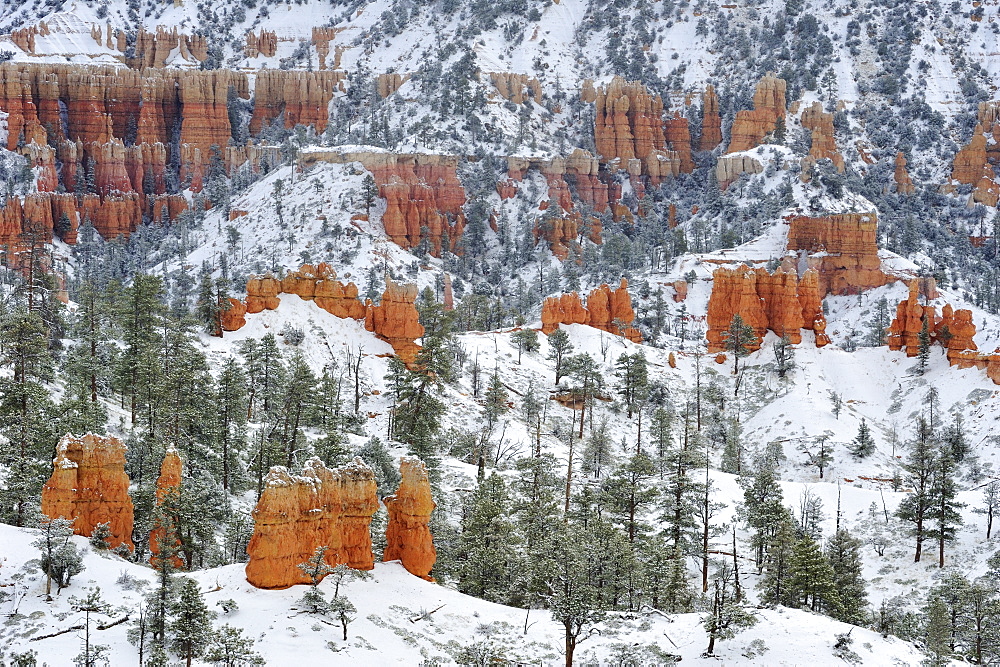 Rock spires in Bryce Canyon in winter, Bryce Canyon National Park, Utah, Southwest, USA, America