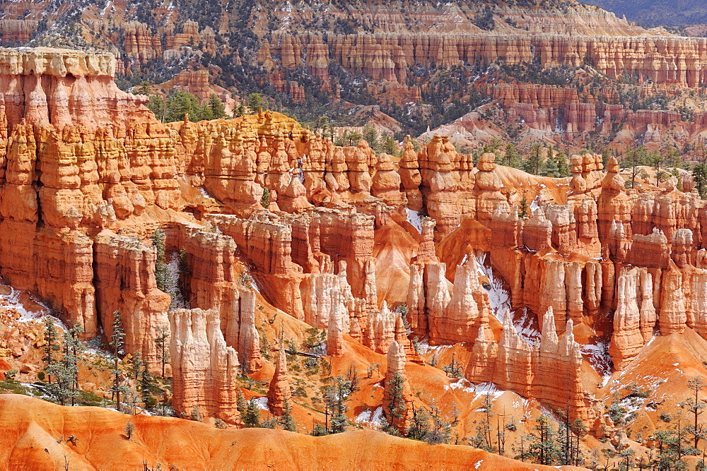 Rock spires in Bryce Canyon, Bryce Canyon National Park, Utah, Southwest, USA, America