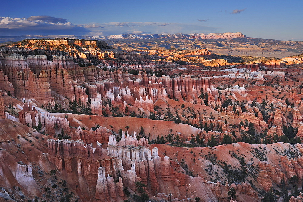 Rock spires in Bryce Canyon, Bryce Canyon National Park, Utah, Southwest, USA, America