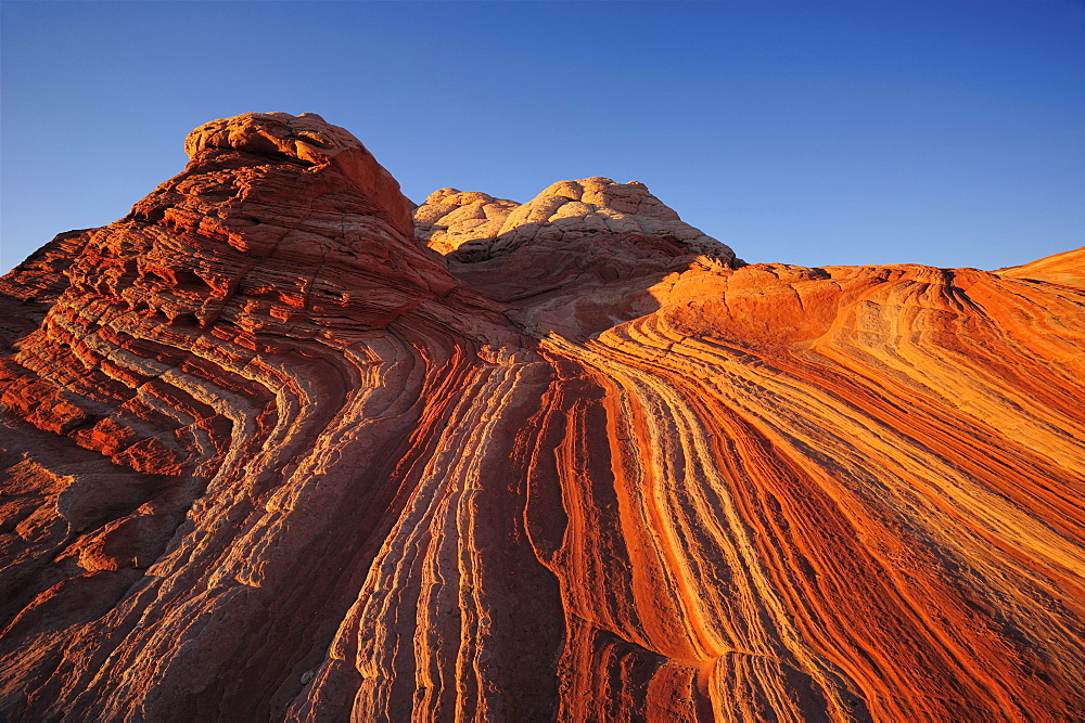 Colourful formation of sandstone, Paria Canyon, Vermilion Cliffs National Monument, Arizona, Southwest, USA, America