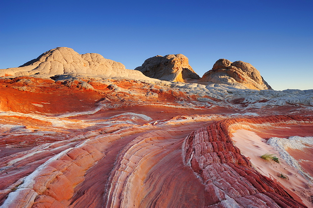 Colourful formation of sandstone, Paria Canyon, Vermilion Cliffs National Monument, Arizona, Southwest, USA, America