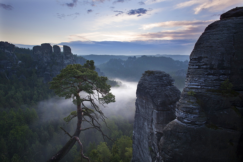 View from Felsenburg Neurathen over the Wehlgrund valley onto the Goose Rocks, Bastei Rocks, National Park Saxon Switzerland, Elbe Sandstone Mountains, Saxony, Germany, Europe