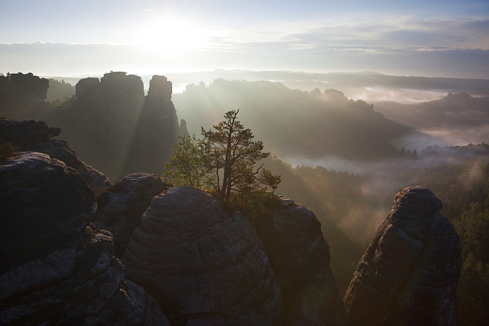 View from Felsenburg Neurathen over the Wehlgrund valley onto the Goose Rocks, Bastei Rocks, National Park Saxon Switzerland, Elbe Sandstone Mountains, Saxony, Germany, Europe