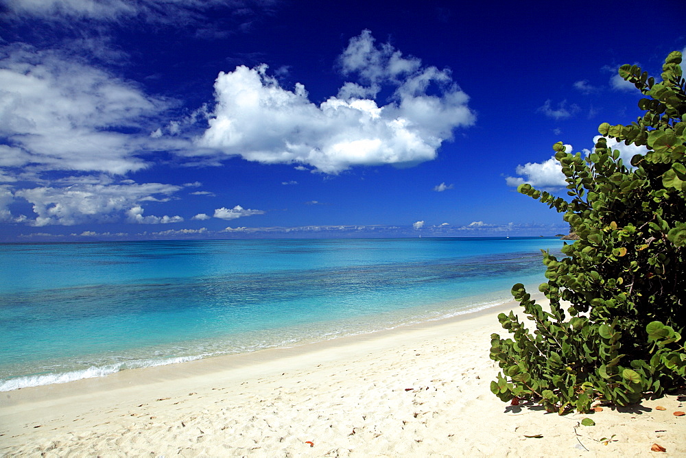 Deserted Darkwood Beach under blue sky, Caribbean Sea, Antigua, West Indies, Caribbean, Central America, America