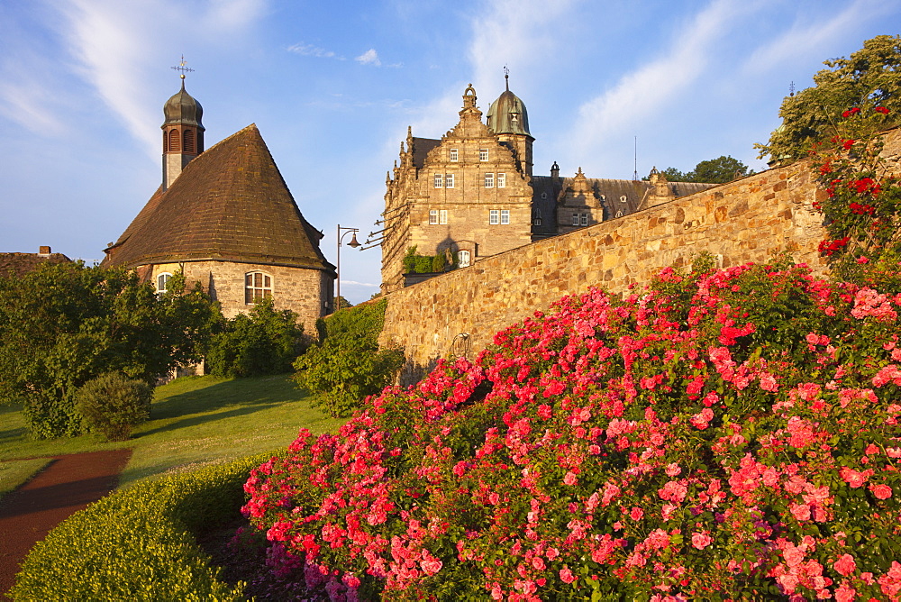 Roses at the gardens of Haemelschenburg castle, church St Mary, Emmerthal, Weser Hills, North Lower Saxony, Germany, Europe