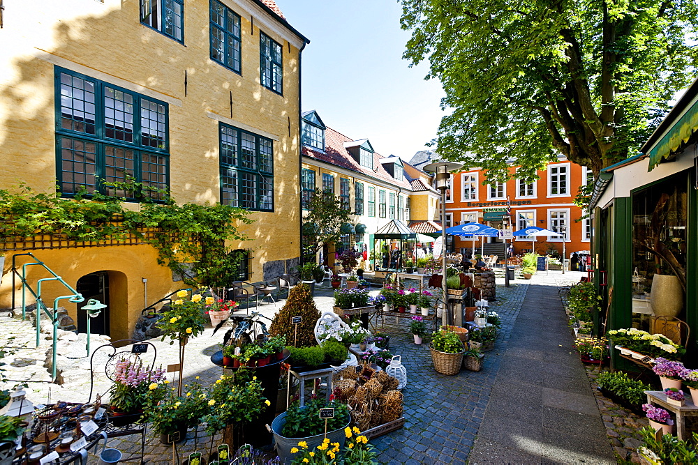 Tipical back houses in Flensburg, Flensburg Fjord, Schleswig-Holstein, Germany