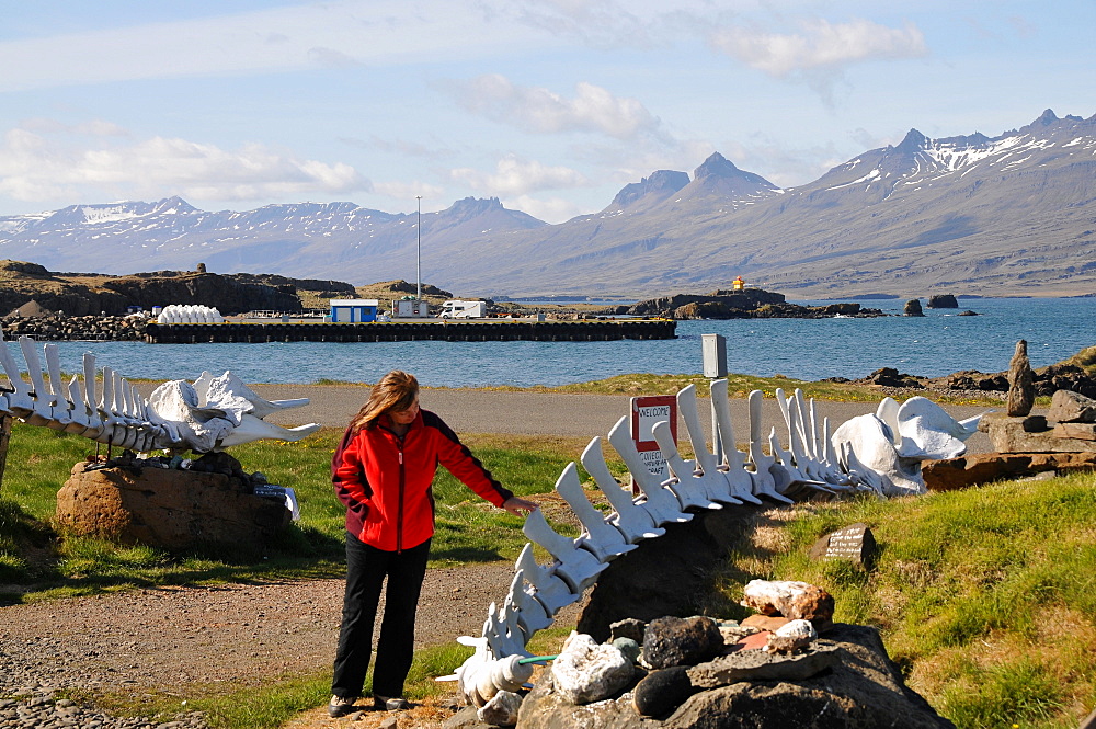 Skeletons near harbour, Djupivogur, fjord Berufjoerdur, Austurland, Iceland