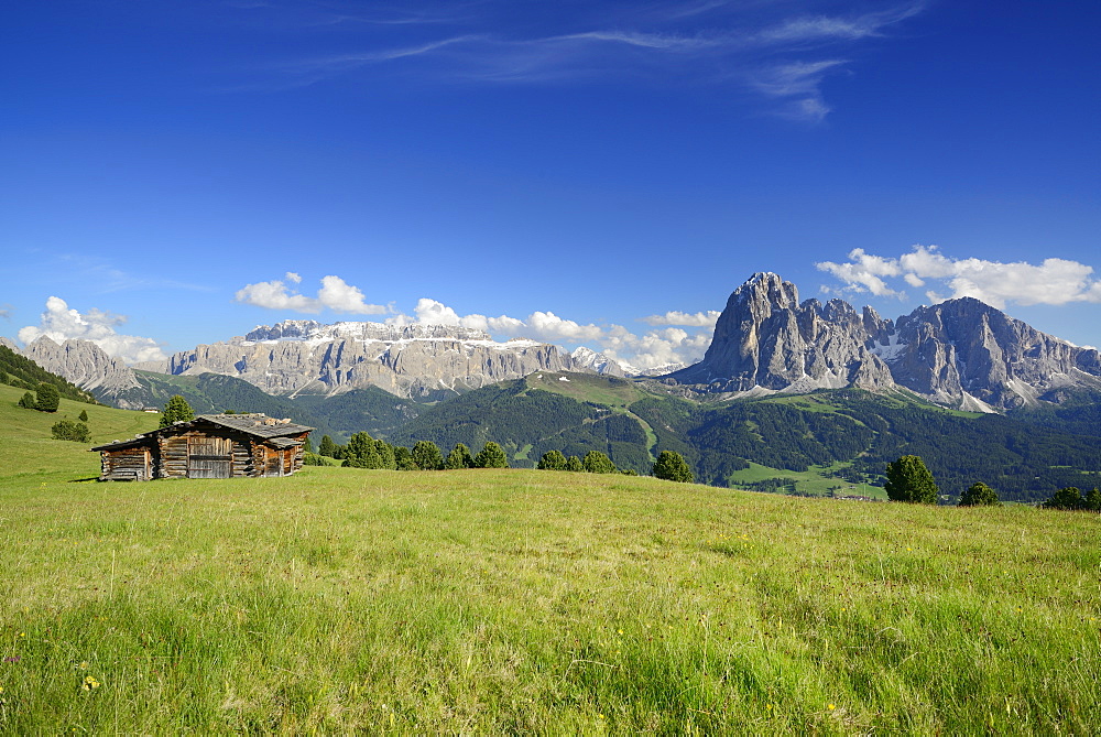 Meadow with farmhouse in front of Sella and Langkofel, Val Gardena, Dolomites, UNESCO world heritage site Dolomites, South Tyrol, Italy