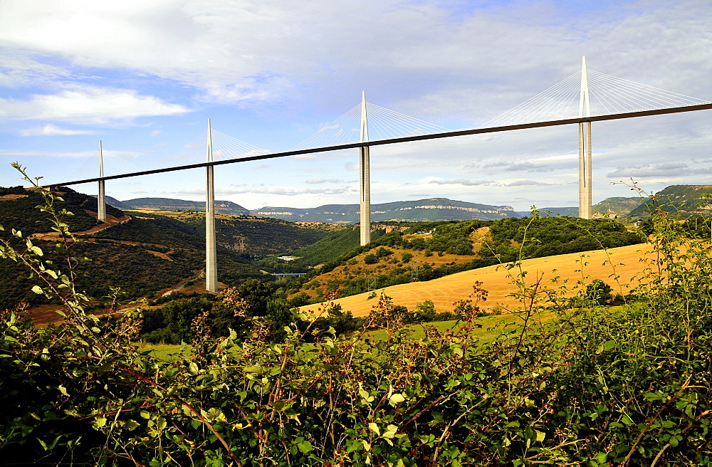 Motorway bridge in idyllic landscape, Languedoc, France, Europe