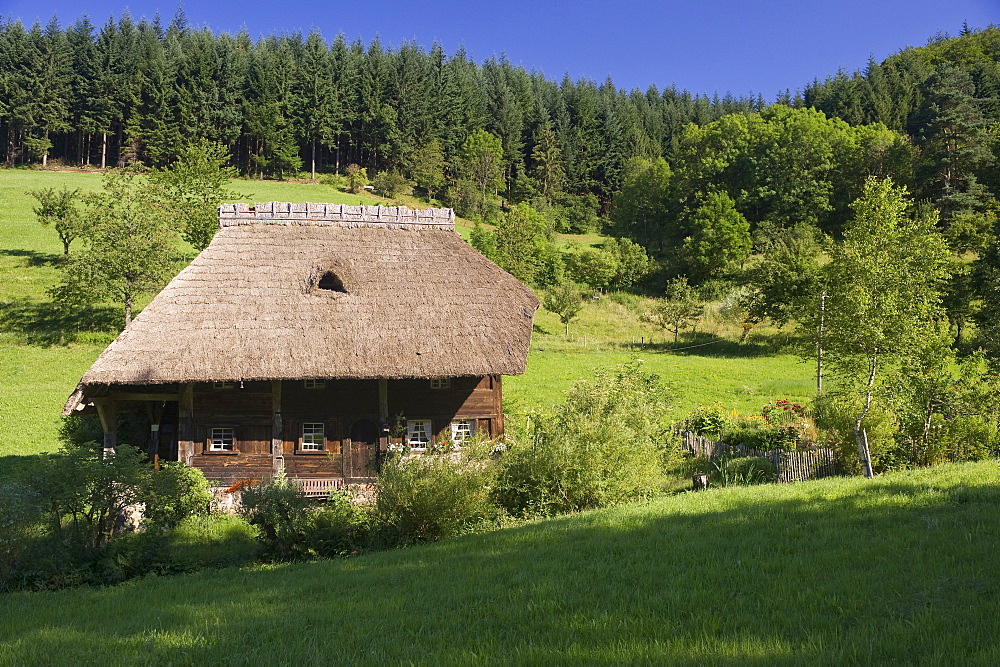 Old mill and farmhouse garden, Oberprechtal, Black Forest, Baden-Wuerttemberg, Germany, Europe