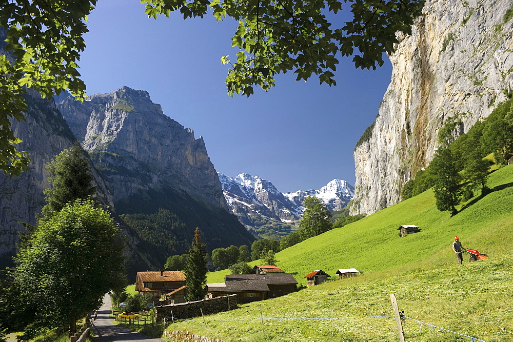 Sunlit meadow at Lauterbrunnen Valley, canton of Bern, Switzerland, Europe