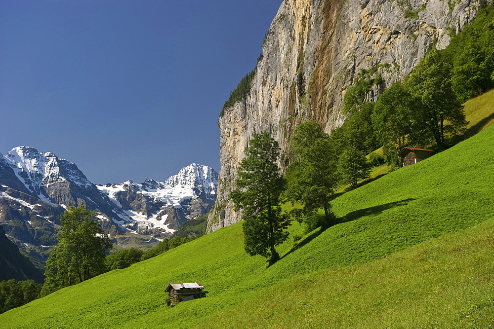 Sunlit meadow at Lauterbrunnen Valley, canton of Bern, Switzerland, Europe