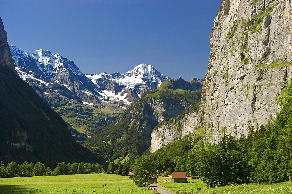 Sunlit meadow at Lauterbrunnen Valley, canton of Bern, Switzerland, Europe