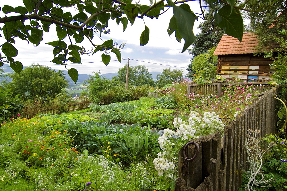 Cottage garden with beehives, Styria, Austria