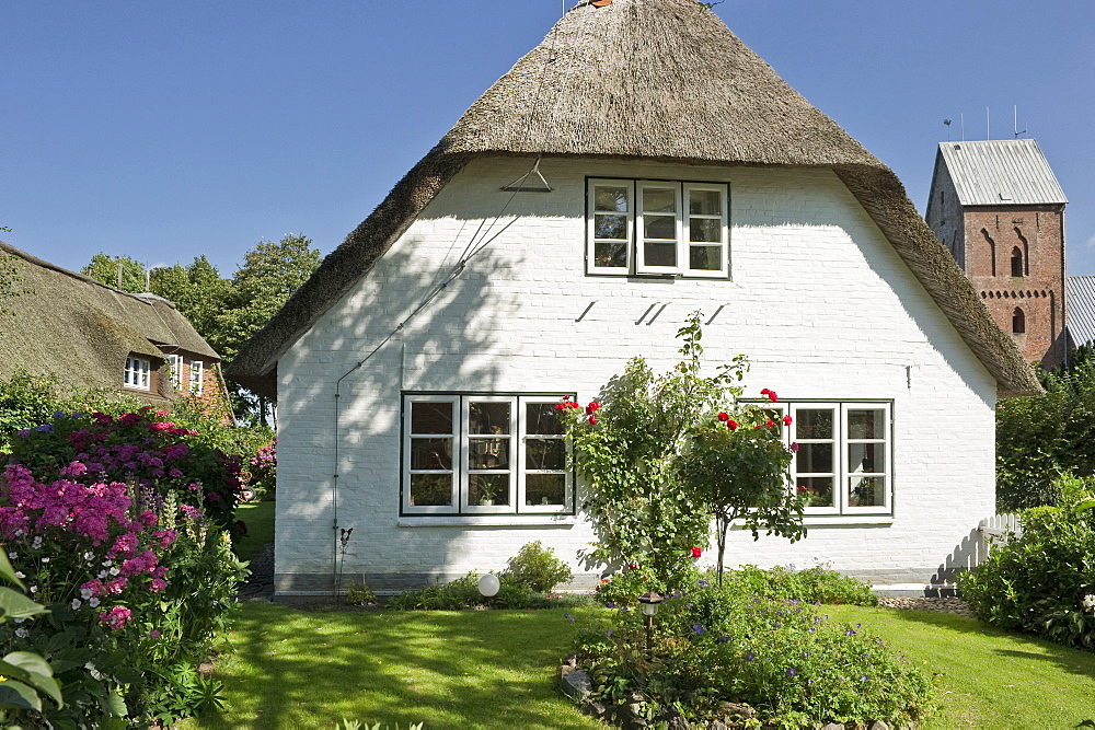 House with thatched roof and garden, Nieblum, Foehr, North Frisian Islands, Schleswig-Holstein, Germany, Europe