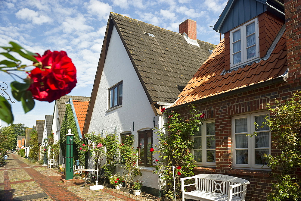 Captain's houses, Wyk, Foehr, North Frisian Islands, Schleswig-Holstein, Germany, Europe