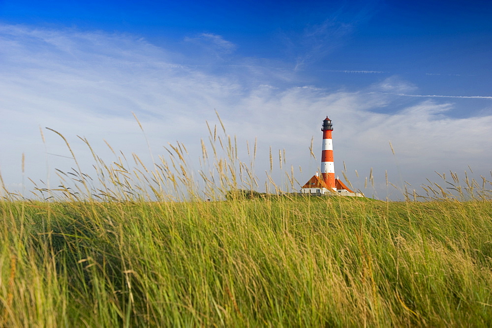 Westerheversand lighthouse and salt meadows, Westerhever, Wadden Sea National Park, Eiderstedt peninsula, North Frisian Islands, Schleswig-Holstein, Germany, Europe