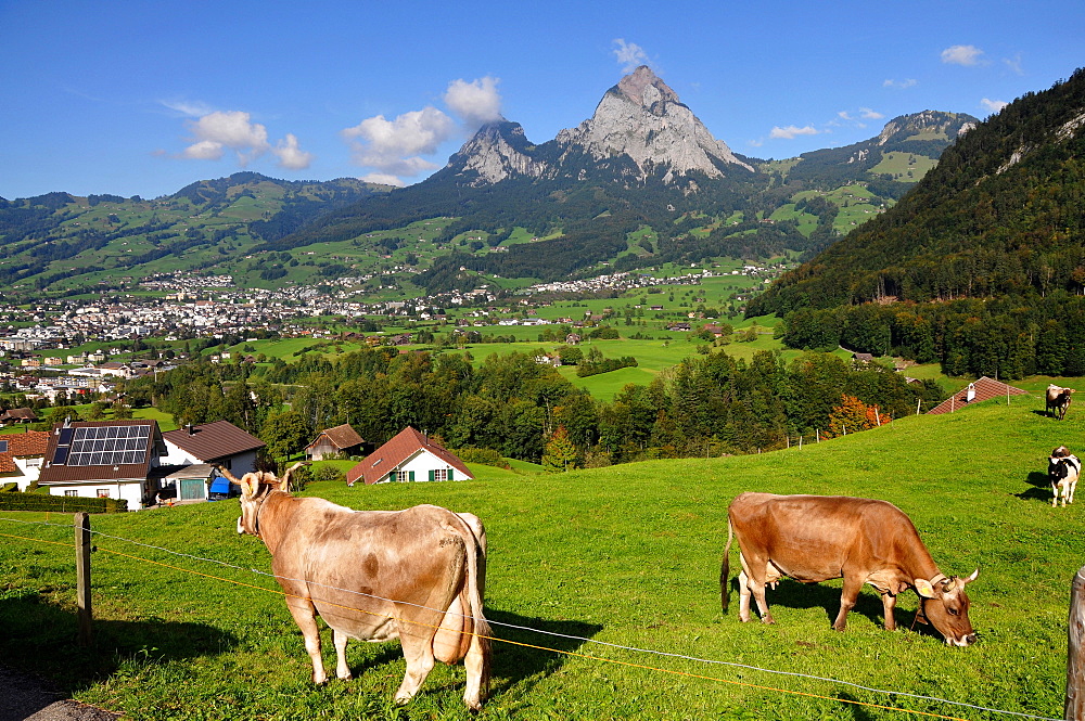 View of the village of Schwyz from south, Canton Schwyz, Centralswitzerland, Switzerland, Europe