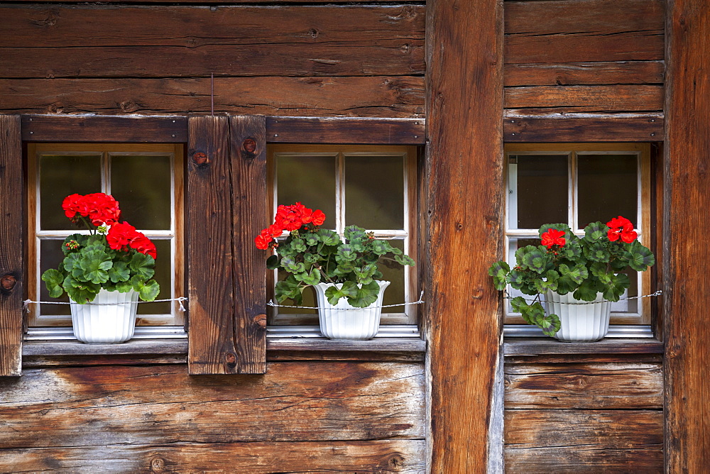 Flowers at the windows of Berghaus am Oeschinensee, Bernese Oberland, Canton of Bern, Switzerland