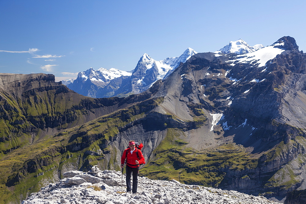 A man hiking on the ridge between Schwarzhorn and Bundstock high above Kiental, view to Wetterhorn, Eiger, Moench, Jungfrau, Bernese Oberland, Canton of Bern, Switzerland