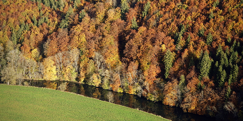 Danube river at autumn, upper Donautal around Beuron, Landkreis Sigmaringen, Swabian Alb, Baden-Wuerttemberg, Germany