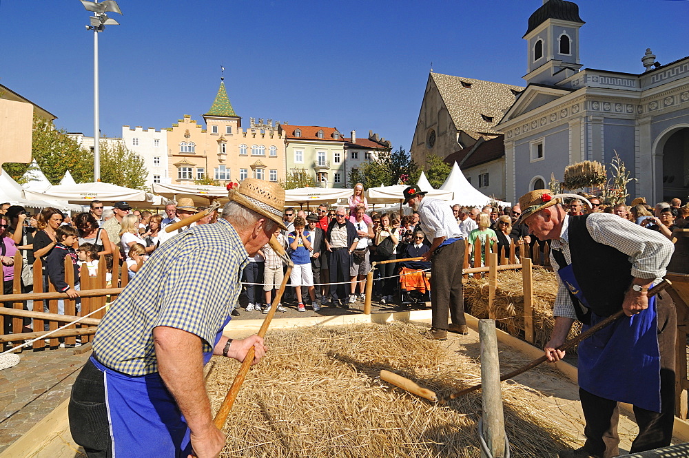 Men threshing corn, Harvest festival on cathedral square, Brixen, South Tyrol, Italy