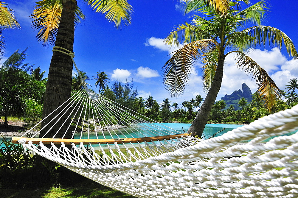 Hammock between two palm trees, Saint Regis Bora Bora Resort, Bora Bora, Society Islands, French Polynesia, Windward Islands, South Pacific