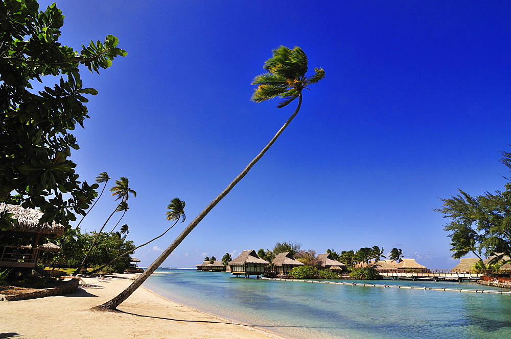 Hotel Intercontinental, Moorea, Society Islands, French Polynesia, Windward Islands, South Pacific