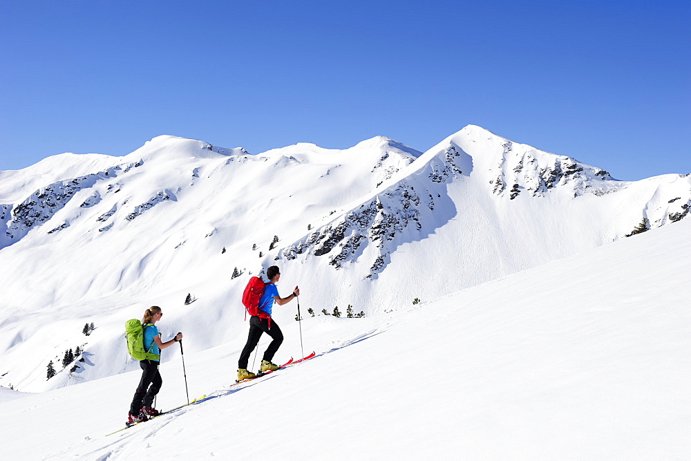 Two backcountry skiers ascending to Brechhorn, Grosser Rettenstein in background, Kitzbuehel Alps, Tyrol, Austria