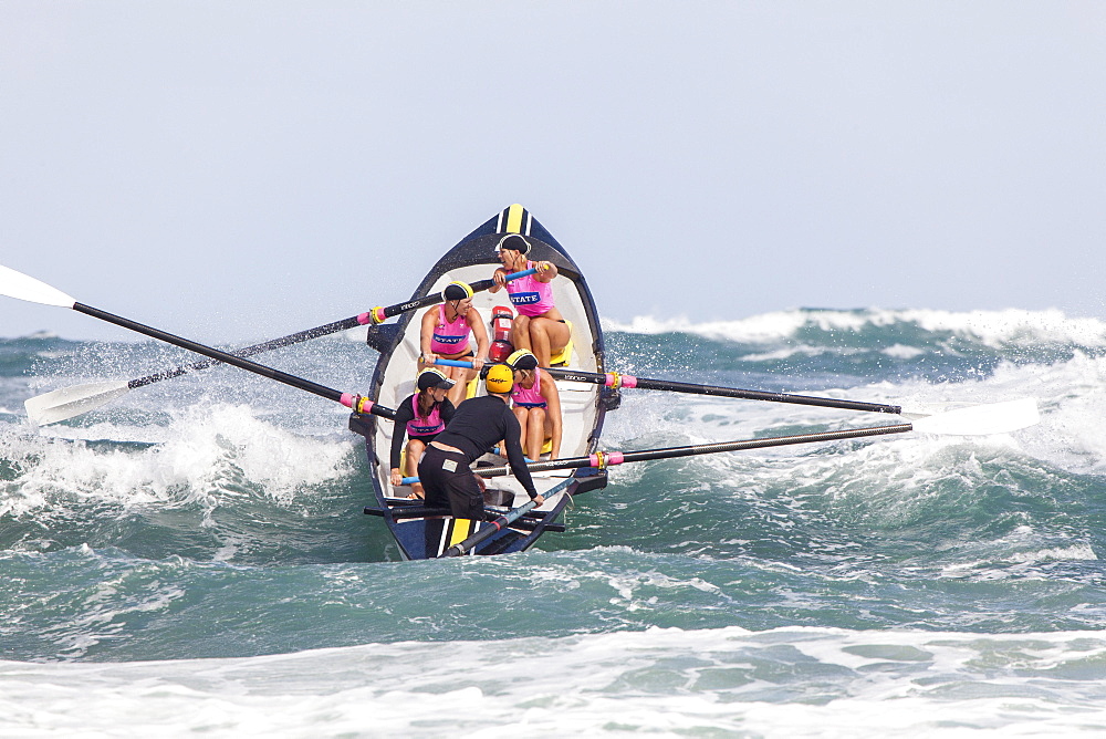 Surf boat competition, lifeguards competition, Day of the Giants, Piha Beach, North Island, New Zealand