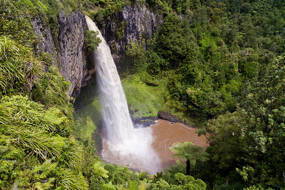 Bridal Veil Falls with lush vegetation, tourist attraction near Raglan Beach, Waikato, North Island, New Zealand