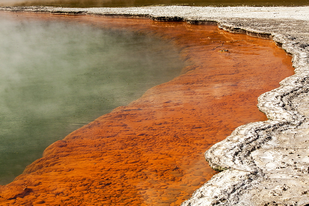 Champagne Pool, Waio-tapu crater lake, Geothermal area near Rotorua, North Island, New Zealand