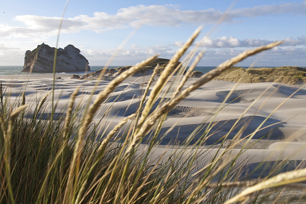 Wave-like sand dunes at Wharariki Beach, South Island, New Zealand