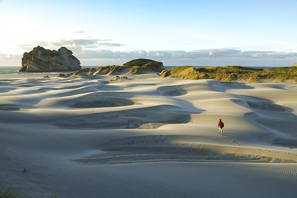 Wave-like sand dunes at Wharariki Beach, South Island, New Zealand