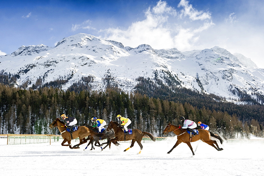 White Turf Horse Race 2013, St. Moritz, Engadine valley, canton of Graubuenden, Switzerland