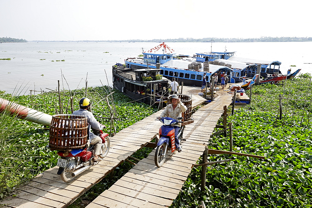 Iridescent shark breeding farm at river Mekong, near of Long Xuyen, An Giang Province, Vietnam