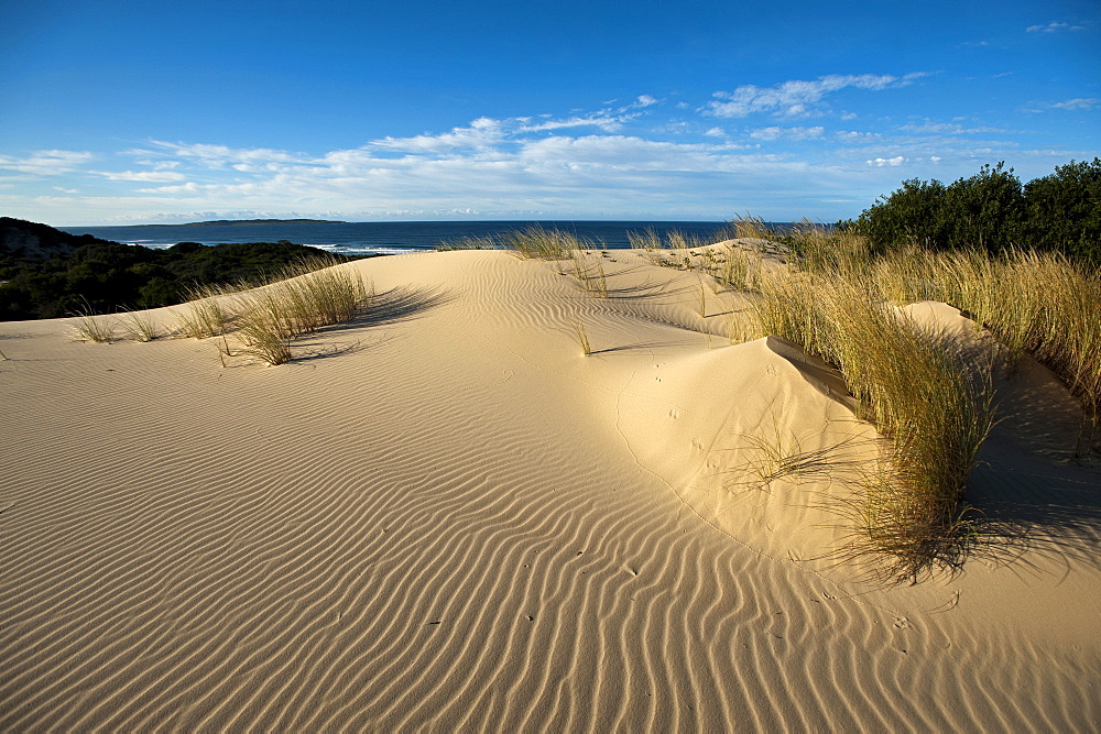 Sand dunes in the Cape Howe Wilderness, Croajingolong National Park, Victoria, Australia