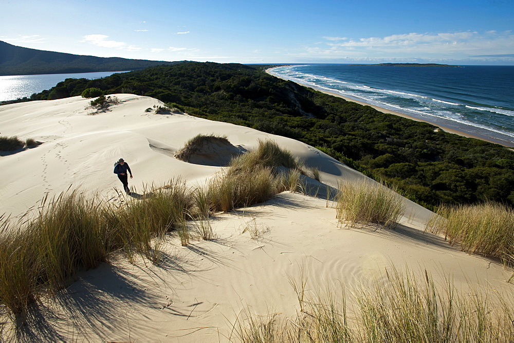 Sand dunes in the Cape Howe Wilderness, Croajingolong National Park, Victoria, Australia